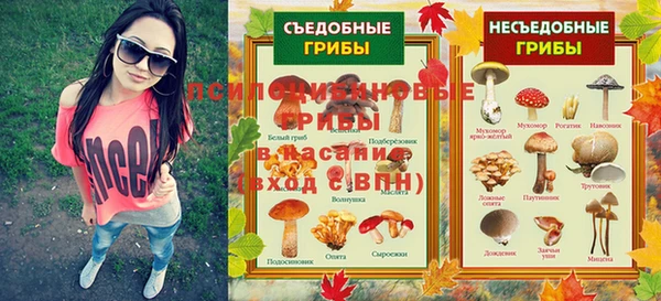 PSILOCYBIN Алексин