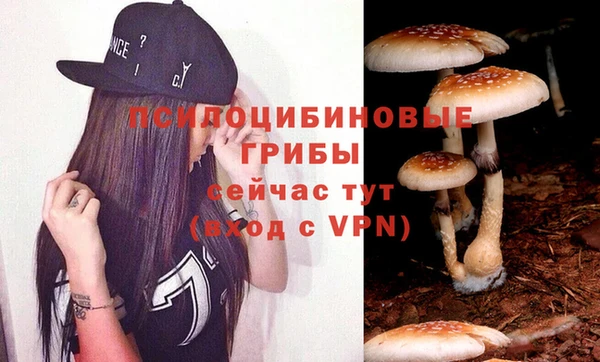 PSILOCYBIN Алексин