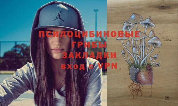 кокс Алексеевка