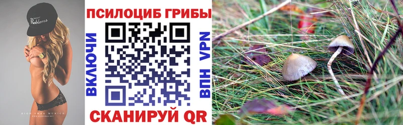 Галлюциногенные грибы GOLDEN TEACHER  Шебекино 