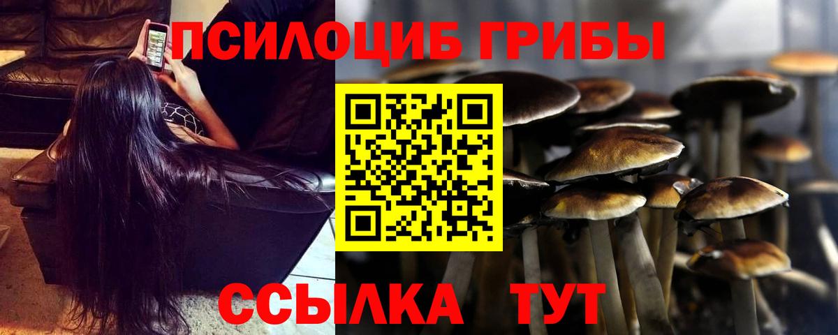 дарнет шоп  Вход с VPN  Шебекино  Псилоцибиновые грибы GOLDEN TEACHER 